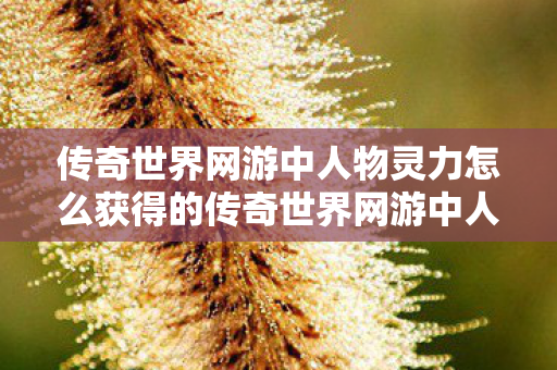 传奇世界网游中人物灵力怎么获得的传奇世界网游中人物灵力怎么获得图片