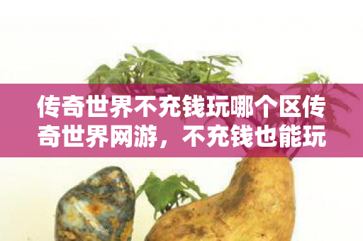 传奇世界不充钱玩哪个区传奇世界网游，不充钱也能玩得好的版本推荐，不充钱也能玩得好的传奇世界网游版本推荐