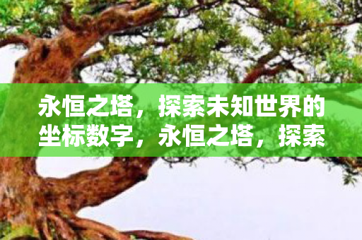 探索未知世界的坐标数字图片
