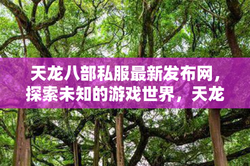 天龙八部私服最新发布网，探索未知的游戏世界，天龙八部私服最新发布，探索未知游戏世界