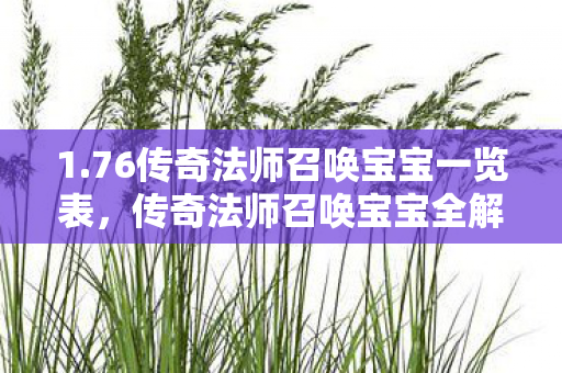 1.76传奇法师召唤宝宝一览表，传奇法师召唤宝宝全解析，1.76版本宝宝一览表