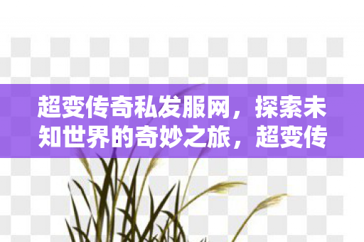 超变传奇私发服网，探索未知世界的奇妙之旅，超变传奇私发服网，开启探索未知世界的奇妙之旅