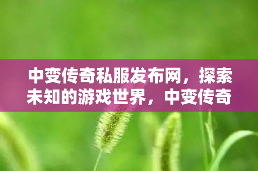 中变传奇私服发布网，探索未知的游戏世界，中变传奇私服发布网，探索未知的游戏世界