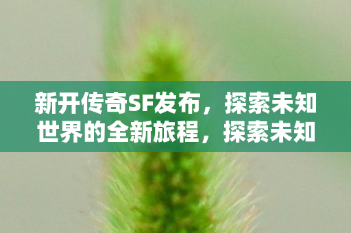 新开传奇SF发布,探索未知世界的全新旅程,探索未知世界的全新旅程,新开传奇SF发布 新开传奇SF发布,探索未知世界的全新旅程,探索未知世界的全新旅程,新开传奇SF发布