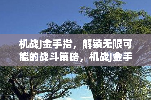机战J金手指，解锁无限可能的战斗策略，机战J金手指，解锁无限战斗策略
