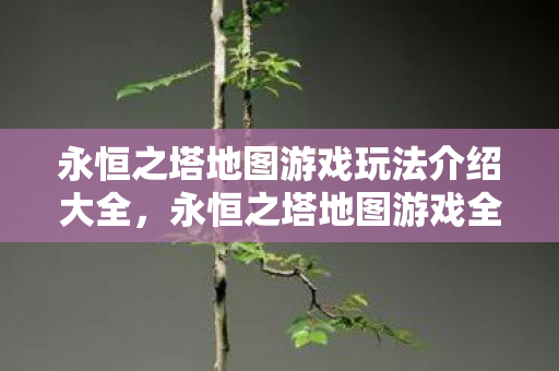 永恒之塔地图游戏玩法介绍大全，永恒之塔地图游戏全攻略，玩法介绍与攻略