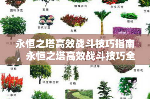 永恒之塔高效战斗技巧全解析图片