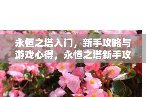 新手攻略与游戏心得图片