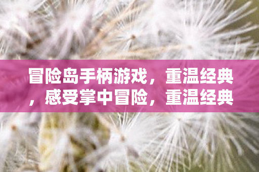 冒险岛手柄游戏图片