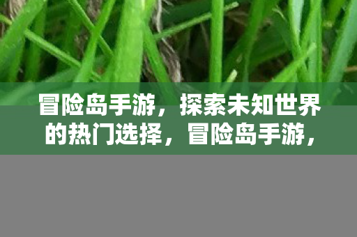 探索未知世界的热门选择图片