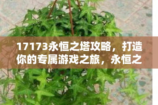 打造你的专属游戏之旅攻略图片