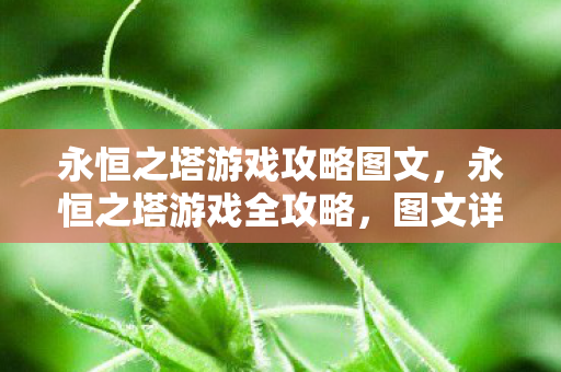 永恒之塔游戏攻略图文图片