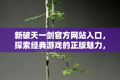 新破天一剑官方网站入口图片