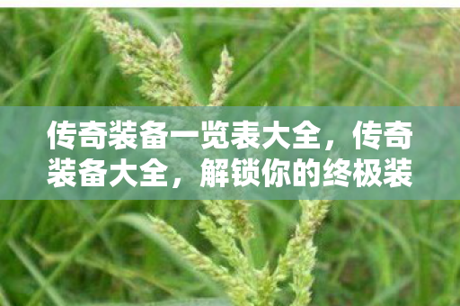 传奇装备一览表大全图片