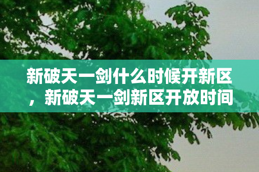 新破天一剑新区开放时间预告图片