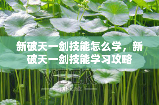 新破天一剑技能学习攻略图片