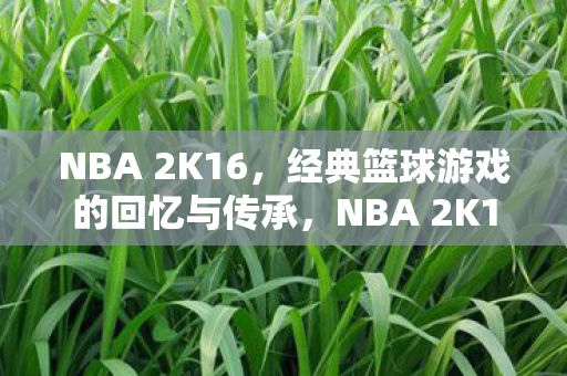NBA 2K16,经典篮球游戏的回忆与传承,NBA 2K16,经典篮球游戏的回忆与传承 NBA 2K16,经典篮球游戏的回忆与传承,NBA 2K16,经典篮球游戏的回忆与传承