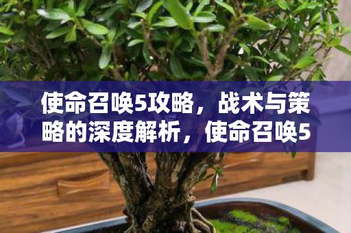 使命召唤5攻略,战术与策略的深度解析,使命召唤5,战术与策略深度解析 使命召唤5攻略,战术与策略的深度解析,使命召唤5,战术与策略深度解析