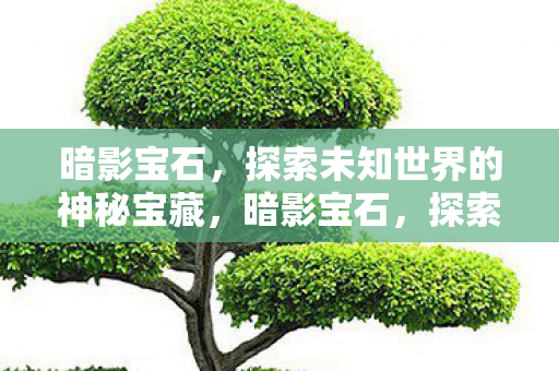 暗影宝石,探索未知世界的神秘宝藏,暗影宝石,探索未知世界的神秘宝藏 暗影宝石,探索未知世界的神秘宝藏,暗影宝石,探索未知世界的神秘宝藏