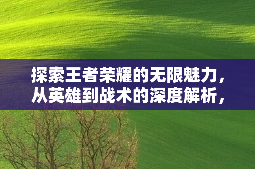 探索王者荣耀的无限魅力，从英雄到战术的深度解析，王者荣耀，英雄战术深度解析，探索游戏魅力