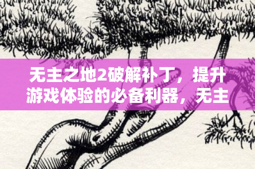 无主之地2破解补丁,提升游戏体验的必备利器,无主之地2破解补丁,提升游戏体验的必备利器 无主之地2破解补丁,提升游戏体验的必备利器,无主之地2破解补丁,提升游戏体验的必备利器