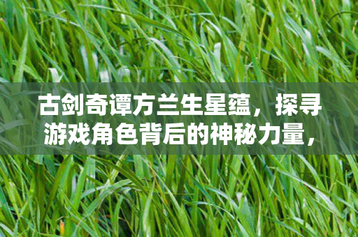 古剑奇谭方兰生星蕴，探寻游戏角色背后的神秘力量，古剑奇谭方兰生星蕴，揭秘游戏角色背后的神秘力量