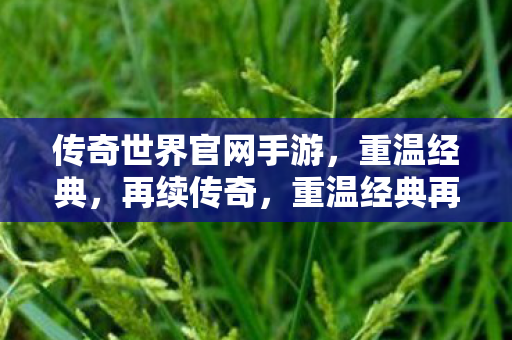 传奇世界官网手游图片