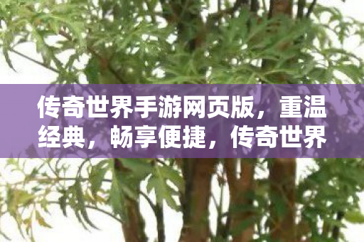 传奇世界手游网页版图片