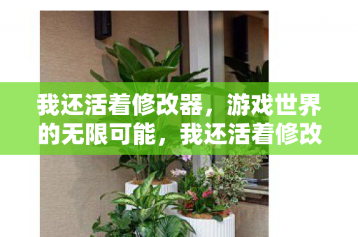 我还活着修改器，游戏世界的无限可能，我还活着修改器，解锁游戏世界的无限可能