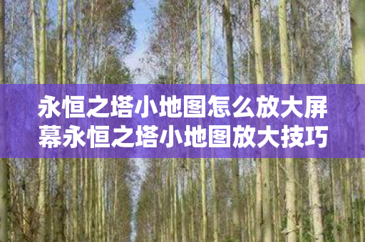 永恒之塔小地图怎么放大屏幕永恒之塔小地图放大技巧图片