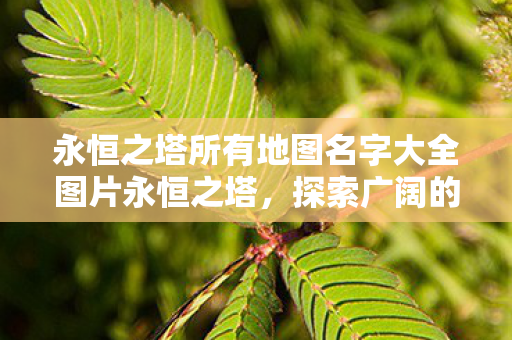 永恒之塔所有地图名字大全图片永恒之塔图片