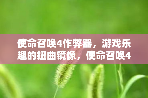 使命召唤4作弊器，游戏乐趣的扭曲镜像，使命召唤4作弊器，扭曲游戏乐趣的镜像