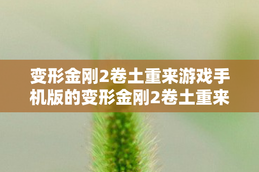 变形金刚2卷土重来游戏手机版的变形金刚2卷土重来图片