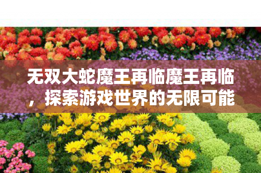 无双大蛇魔王再临魔王再临,探索游戏世界的无限可能,无双大蛇魔王再临,探索游戏世界的无限可能 无双大蛇魔王再临魔王再临,探索游戏世界的无限可能,无双大蛇魔王再临,探索游戏世界的无限可能