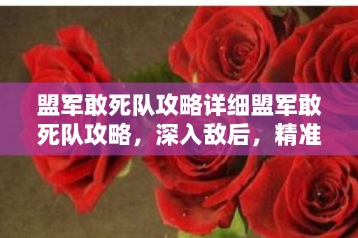盟军敢死队攻略详细盟军敢死队攻略,深入敌后,精准打击,盟军敢死队,深入敌后,精准打击的攻略指南 盟军敢死队攻略详细盟军敢死队攻略,深入敌后,精准打击,盟军敢死队,深入敌后,精准打击的攻略指南