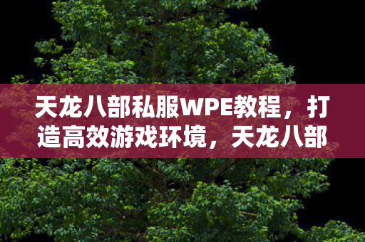 天龙八部私服WPE教程，打造高效游戏环境，天龙八部私服WPE教程，打造高效游戏环境