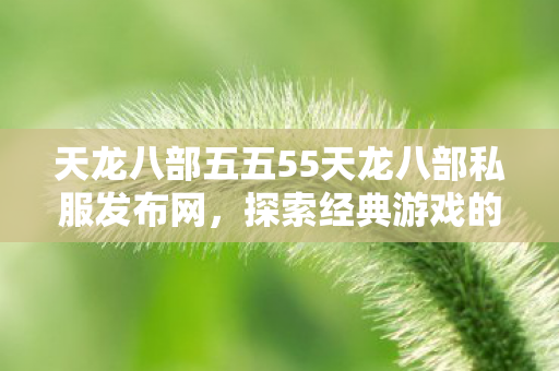 天龙八部五五55天龙八部私服发布网,探索经典游戏的另类体验,天龙八部私服发布网,探索经典游戏的另类体验 天龙八部五五55天龙八部私服发布网,探索经典游戏的另类体验,天龙八部私服发布网,探索经典游戏的另类体验