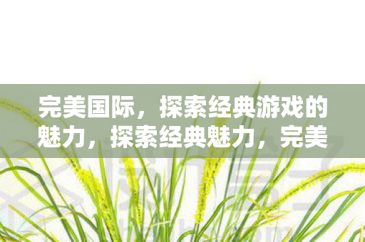 完美国际,探索经典游戏的魅力,探索经典魅力,完美国际 完美国际,探索经典游戏的魅力,探索经典魅力,完美国际
