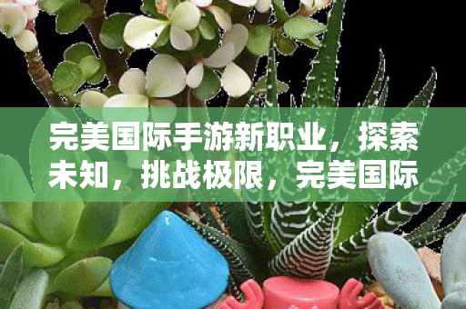 完美国际手游新职业图片