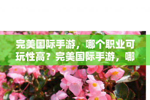 哪个职业可玩性最高图片