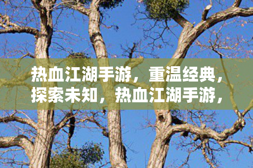 热血江湖手游图片