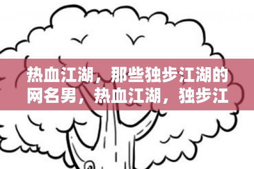 那些独步江湖的网名男图片
