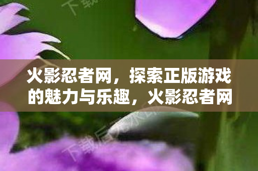 火影忍者网,探索正版游戏的魅力与乐趣,火影忍者网,探索正版游戏的魅力与乐趣 火影忍者网,探索正版游戏的魅力与乐趣,火影忍者网,探索正版游戏的魅力与乐趣