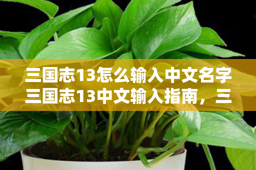 三国志13怎么输入中文名字三国志13中文输入指南，三国志13中文名字输入指南