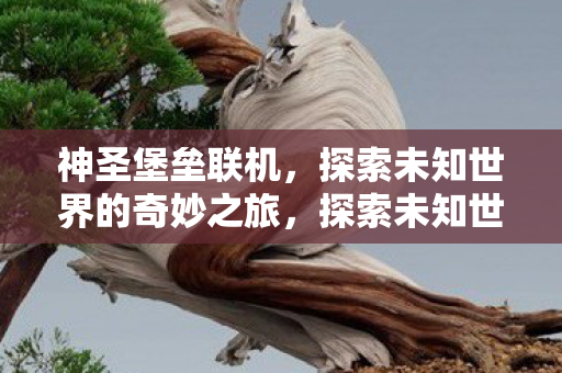神圣堡垒联机,探索未知世界的奇妙之旅,探索未知世界的奇妙之旅,神圣堡垒联机 神圣堡垒联机,探索未知世界的奇妙之旅,探索未知世界的奇妙之旅,神圣堡垒联机