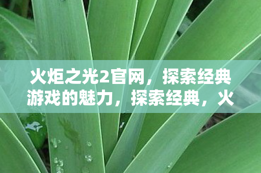 探索经典游戏的魅力图片