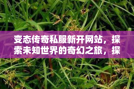 变态传奇私服新开网站,探索未知世界的奇幻之旅,探索未知世界的奇幻之旅,变态传奇私服新开网站 变态传奇私服新开网站,探索未知世界的奇幻之旅,探索未知世界的奇幻之旅,变态传奇私服新开网站
