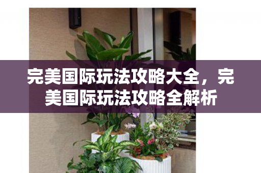 完美国际玩法攻略大全，完美国际玩法攻略全解析
