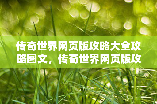 传奇世界网页版攻略大全攻略图文图片