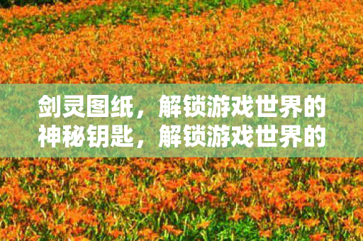 剑灵图纸，解锁游戏世界的神秘钥匙，解锁游戏世界的神秘钥匙，剑灵图纸